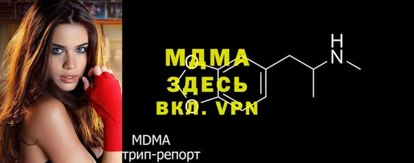 стаф Горняк