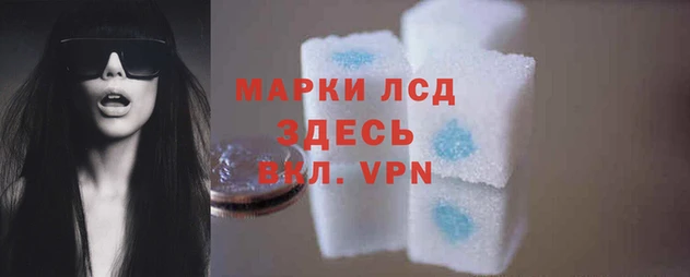 стаф Горняк