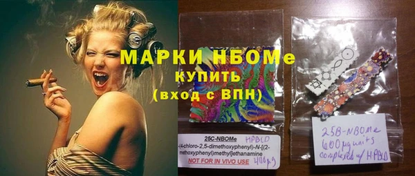 стаф Горняк