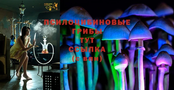 меф Горнозаводск