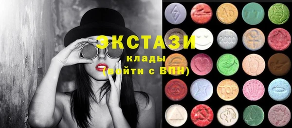 стаф Горняк