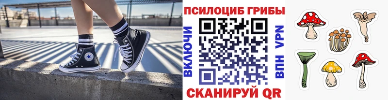 Псилоцибиновые грибы GOLDEN TEACHER Купить Белоусово